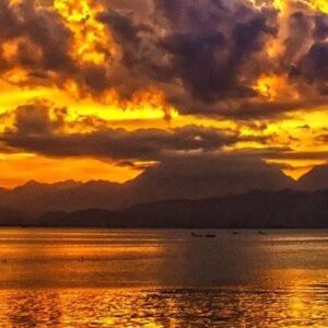 Non dire che la lotta