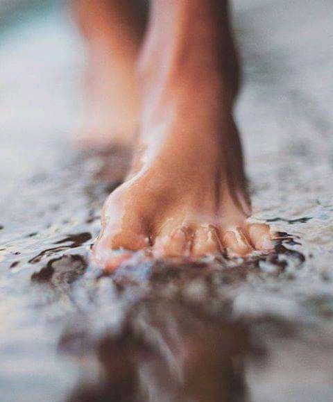 Percorsi individuali